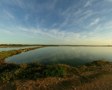 Un humedal de Huelva protegido por su valor ecológico recibe contaminantes de varios arroyos