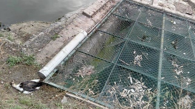 Calor y falta de lluvias