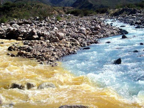 Proteína del rábano picante y nanopartículas de oro para detectar cianuro en el agua