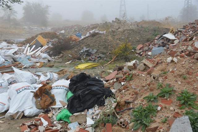 PSOE propone plantar 100.000 árboles en zonas degradadas de Madrid antes de 2020 para combatir la contaminación