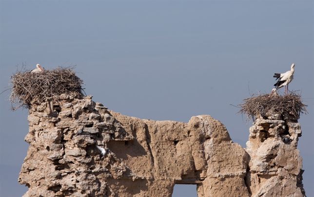 La Rioja invertirá para mejorar la fauna