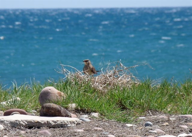 La Comunitat Valenciana