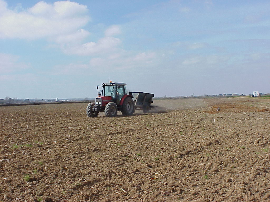 Innovador abono orgánico a base de hongos