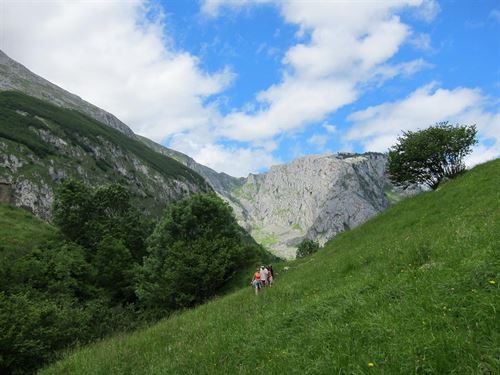 Picos de Europa