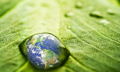 El negocio “verde” de los Bancos