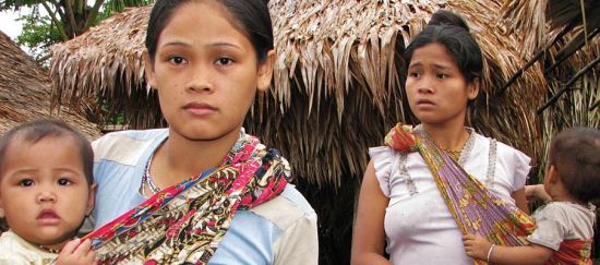 Detener a tiempo la expansión del monocultivo en Filipinas