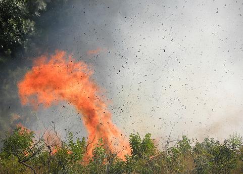 Navarra inicia la campaña forestal de invierno