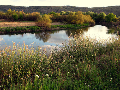 Plan Estratégico español para la conservación y uso racional de los humedales