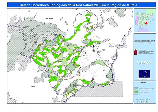Murcia contrata a 14 técnicos medioambientales para líneas de trabajo prioritarias