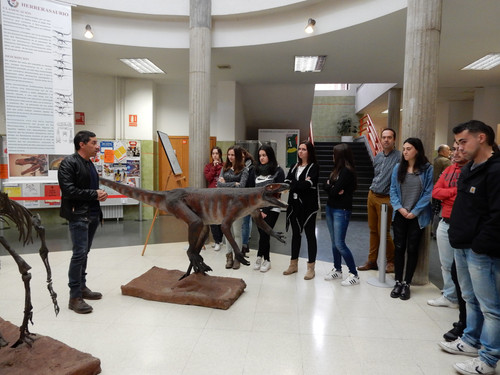 Visita las réplicas de Herrerasaurio