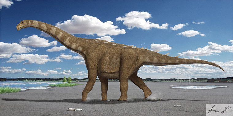 Hallan un nuevo dinosaurio en Cuenca