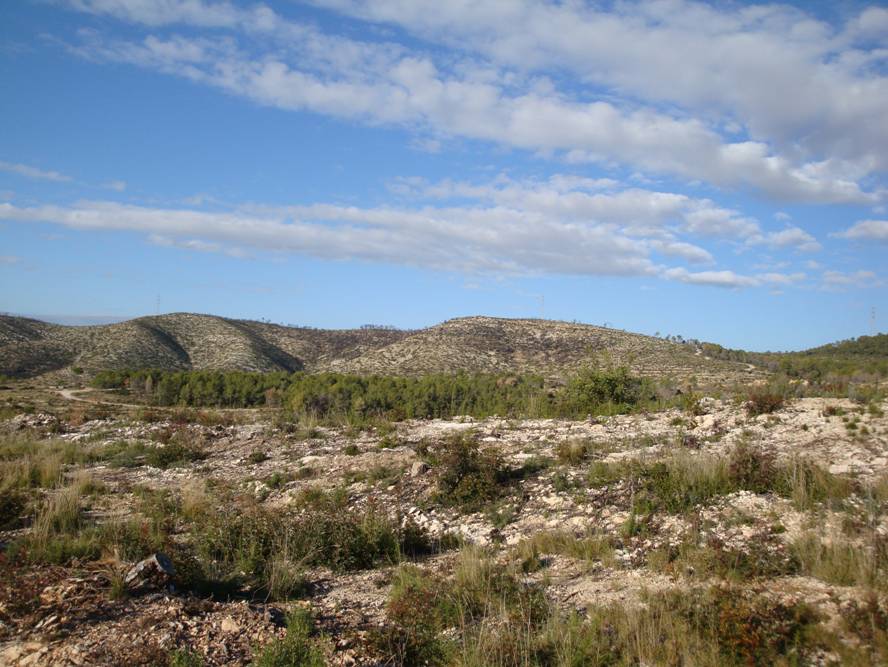 Los ecosistemas más jóvenes son los más sensibles al calentamiento global