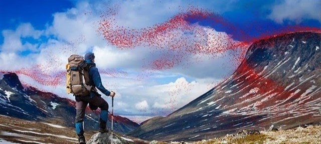 GORE-TEX eliminará los PFC peligrosos que pueden causar tumores