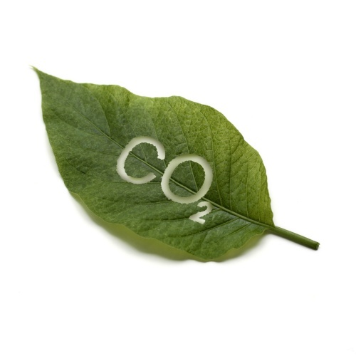 192 empresas valencianas están sometidas al comercio de derechos de emisión de gases de efecto invernadero