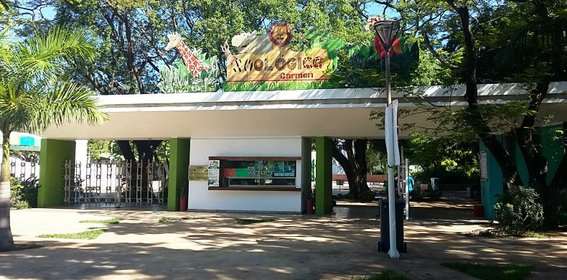 México: Un Zoológico del estado de Campeche inicia un proceso para recuperar 352 animales