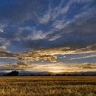 México Busca Contrarrestar Efectos de Cambio Climático en el Sector Agropecuario