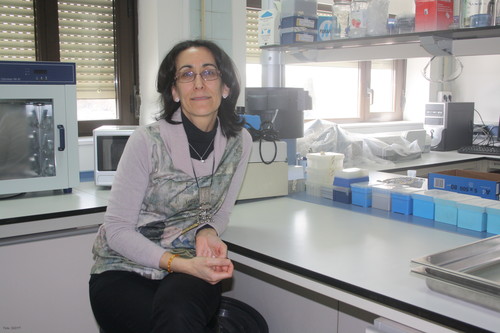 Novedades sobre la respuesta de las plantas a la deficiencia de azufre