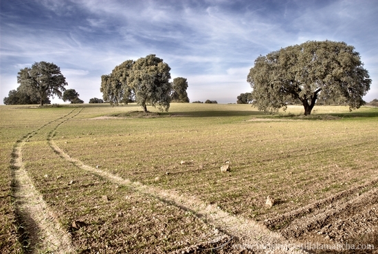El miércoles se precintarán todas las barbacoas de Castilla-La Mancha