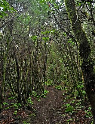 Primer paso para la elaboración del Inventario del patrimonio y diversidad natural y cultural de Legazpi