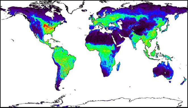 Innovador sistema para estimar la fotosíntesis en toda la Tierra