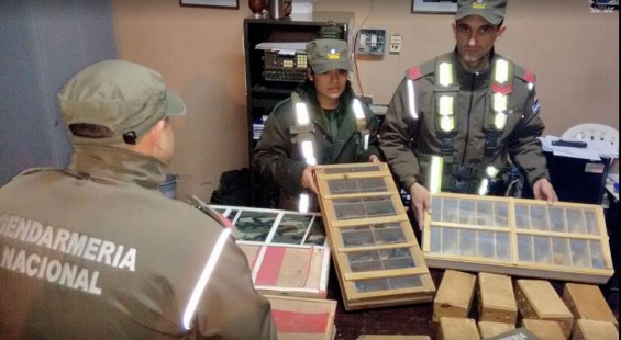 Argentina: Rescatan en Córdoba a 130 aves que eran trasladadas en la bodega de un colectivo