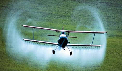 Galicia. La Plataforma contra as Fumigacións entrega a la Xunta 100.000 firmas contra el uso de un pesticida tóxico