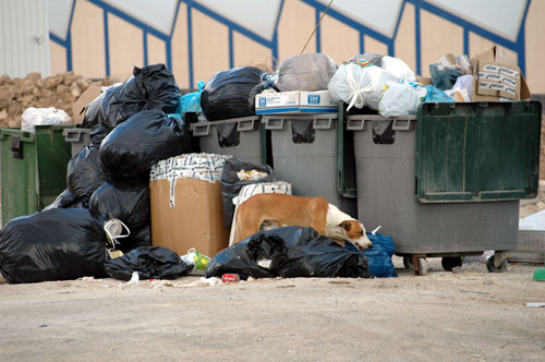 Avisan de la ‘insostenible’ gestión de los residuos en Canarias