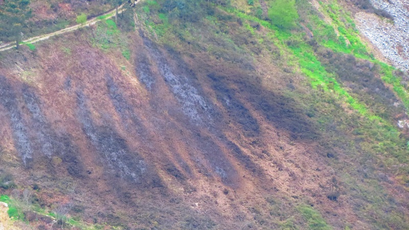 Asturias. Esta amenazada la salubridad del agua potable de Luarca por vertidos de purines al rio Negro