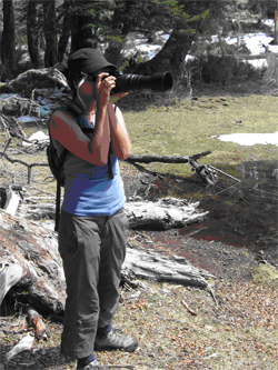 Animan a los turistas ser respetuosos con el medio ambiente y los animales