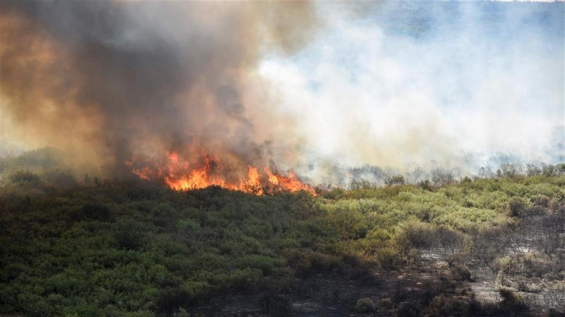 Argentina. Devastador impacto ambiental producidos por los incendios en La Pampa