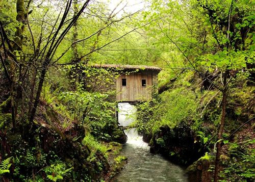 Menorca acoge este miércoles el I Foro de Turismo y Naturaleza