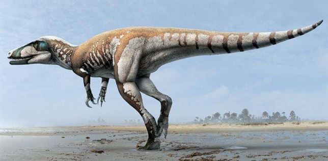 Conoce al dinosaurio carnívoro de enormes garras australiano