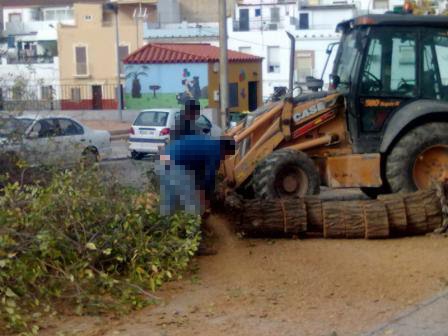 Sevilla. En Arahal no podan