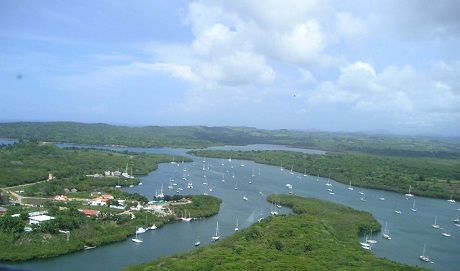 Grupo M &amp; Olitas Verdes Celebran Jornada de Limpieza de los Manglares Bahía de Luperón