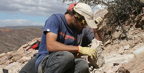 Paleontólogos argentinos hallaron un fósil que explica el origen de los cocodrilos