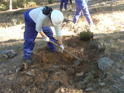 Andalucía. Simplifican los trámites de la nueva estrategia de empleo medioambiental