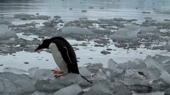 La descarga glaciar se extiende fuera de los meses de verano