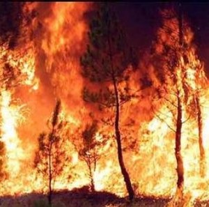 Extremadura. Peligro medio de incendios forestales
