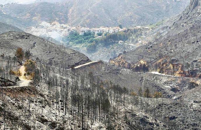 Ingenieros piden al Gobierno que termine las tareas de restauración de las áreas quemadas en otoño