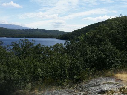 El 50% de los tramos analizados en el Proyecto Ríos tiene un buen estado ecológico