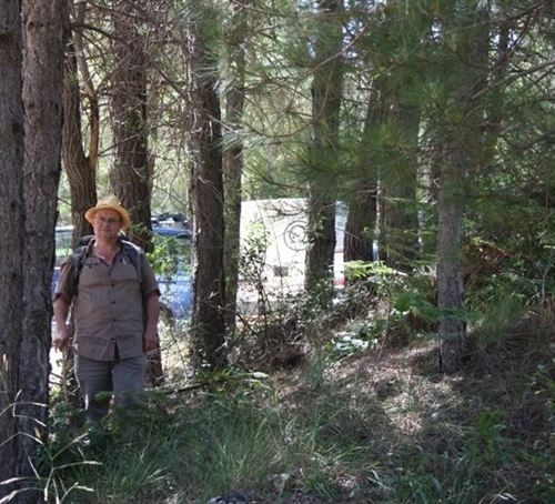 El Camino de las Ardillas