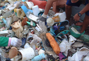 Día del buzo y la limpieza submarina