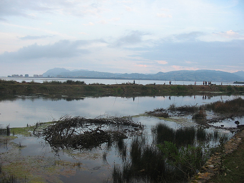 Cartes se suma al Día Mundial del Medio Ambiente con visitas al Ecomuseo de Trasmiera y Marismas de Santoña