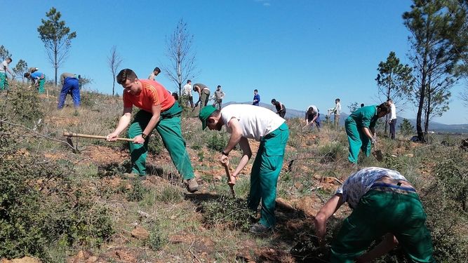 Alumnos estudian en Sierra de Gata la evolución del monte tras un incendio forestal