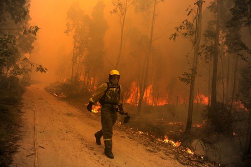 Cinco imputados por incendios en Galicia