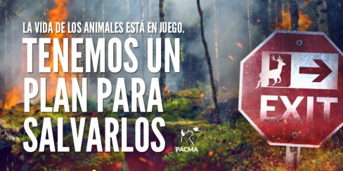 Catástrofes: Un plan para salvarlos a todos