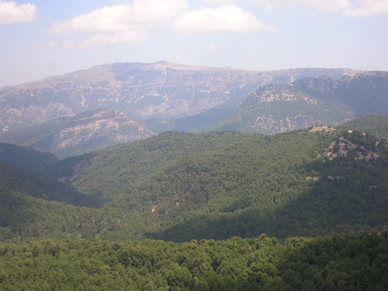 La Junta habilita como observatorio del cambio climático la casa forestal Las Acebeas