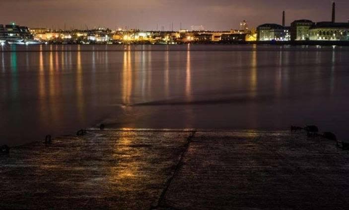 La contaminación lumínica costera afecta notablemente a los pequeños crustáceos
