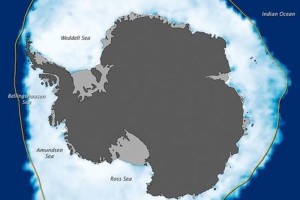 La Antártida se recupera