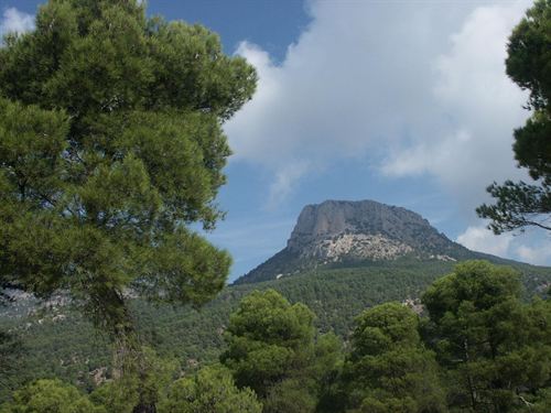 Murcia lleva a cabo más de 37.000 actuaciones de protección y conservación medioambiental